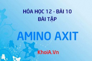 Bài tập về Amino Axit: Giải bài tập 1, 2, 3, 4, 5, 6 trang 48 SGK Hóa 12 bài 10